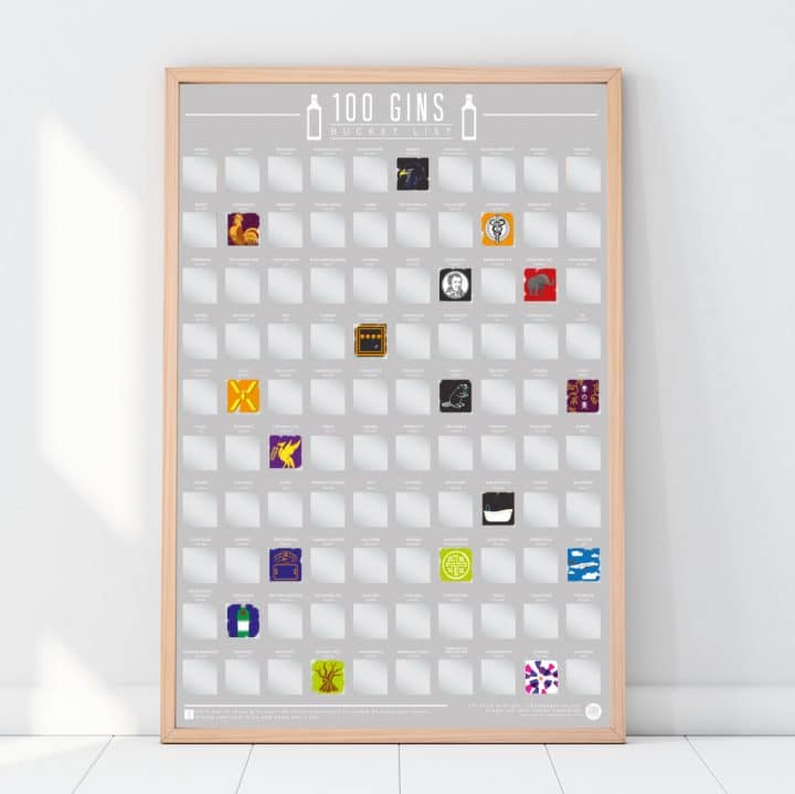 bucketlistposter 100 gins